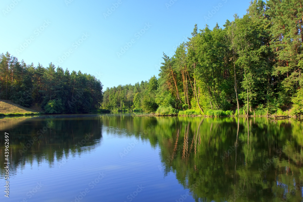 Tranquil landscape with a lake and pine forest Tranquil landscape with a lake and pine forest