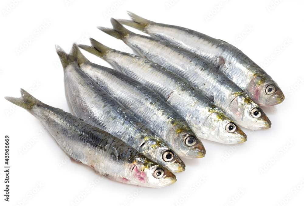 Media docena de sardinas.