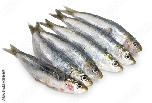 Media docena de sardinas.