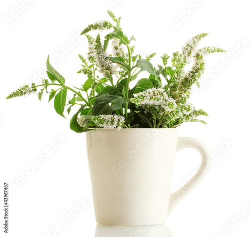fresh mint with flowers in cup, isolated on white © Africa Studio