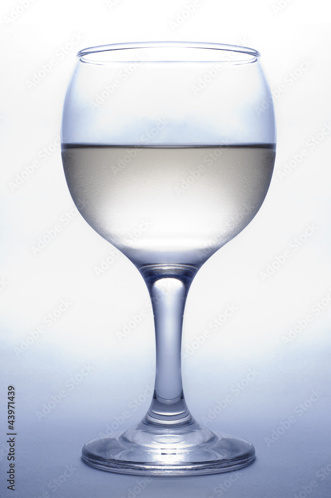 Obraz premium Glass of white wine