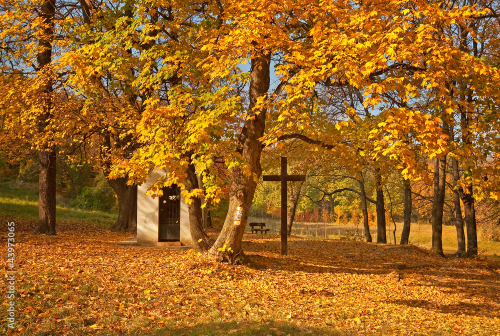 Naklejka premium Small house in the forest in autumn