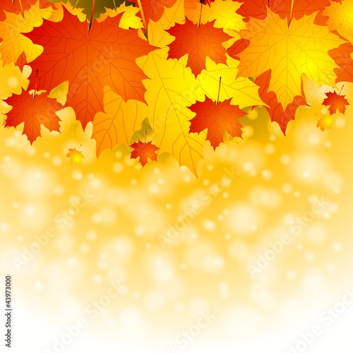 Colourful autumn background