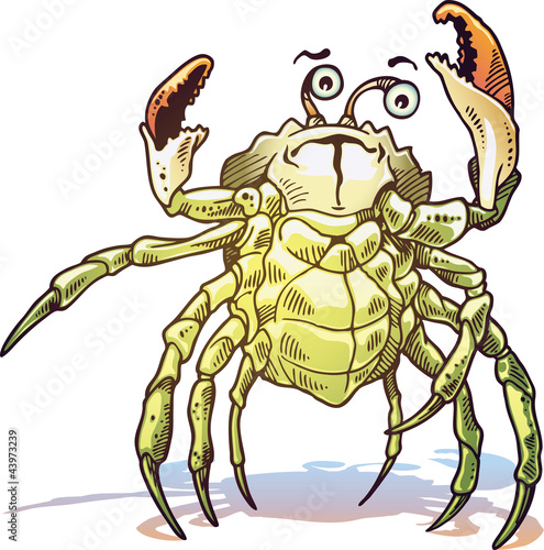 The illustration of the sea crab.
