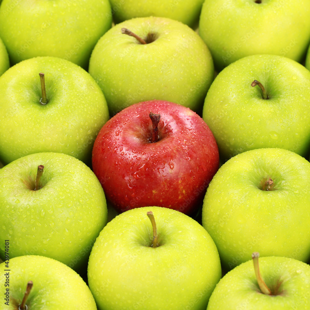 Einsamer roter Apfel Einsamer roter Apfel