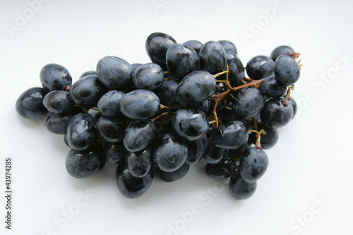 Deep blue grapes on white background