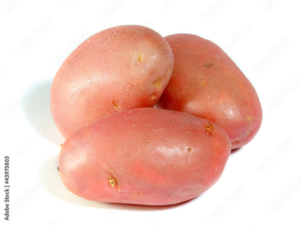 Three potatos isolated on white background Three potatos isolated on white background