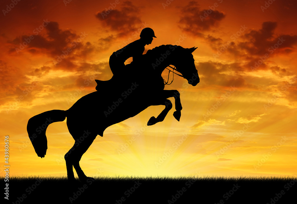 silhouette of a rider on a jumping horse