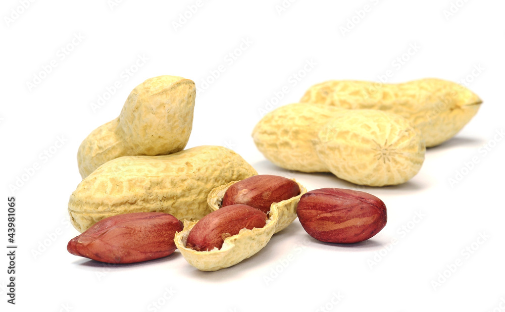 Peanuts on a white background Peanuts on a white background