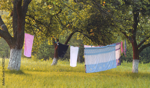 Fototapeta Naklejka Na Ścianę i Meble -  Wiejskie Pranie w Ogrodzie