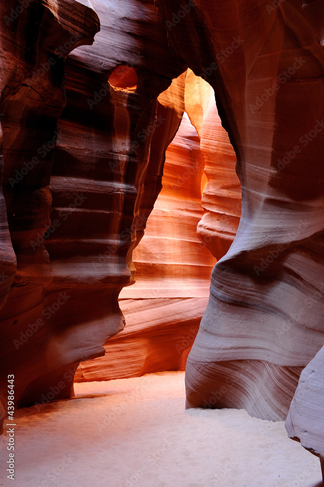 The Bear in Upper Antelope Canyon, Page, Arizona