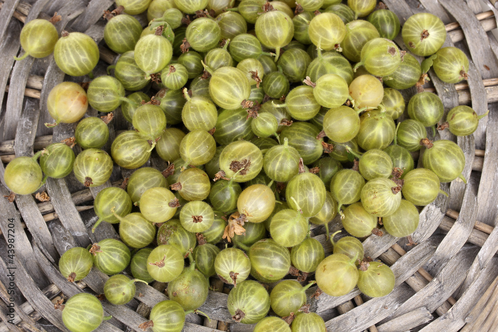 Green gooseberry on wicker mat close-up Green gooseberry on wicker mat close-up