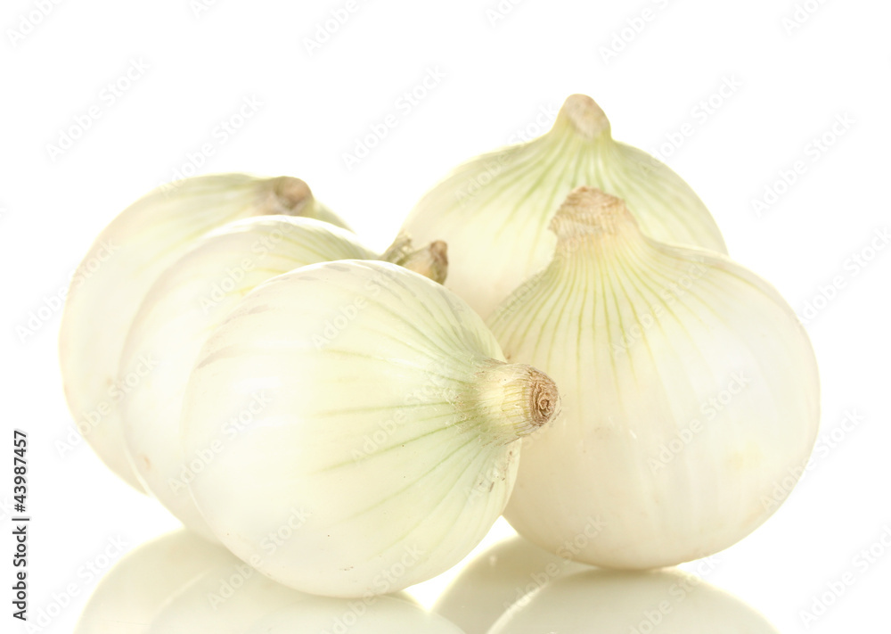 Obraz premium white onion isolated on white background