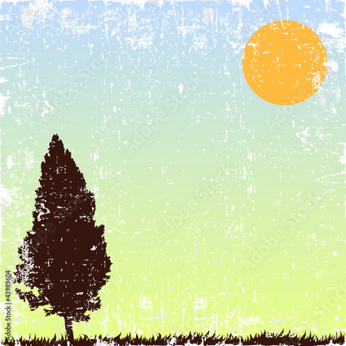 alone tree.