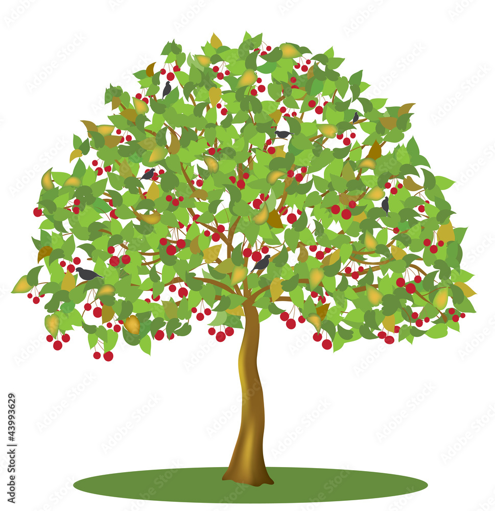 Cherry tree with berries and birds isolated on white background
