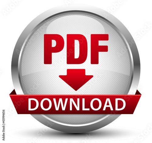 PDF Download Button Silber Metallic