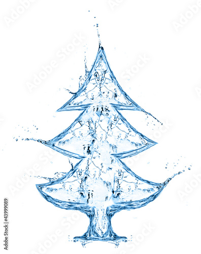 fir tree from water splash