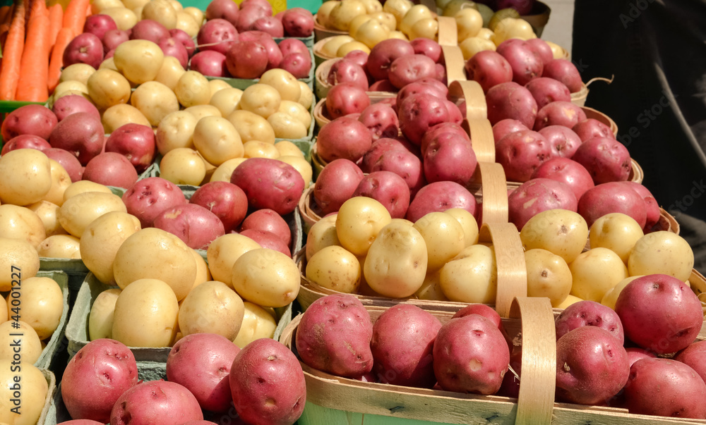 Organic Potatoes at Farmers Market Organic Potatoes at Farmers Market