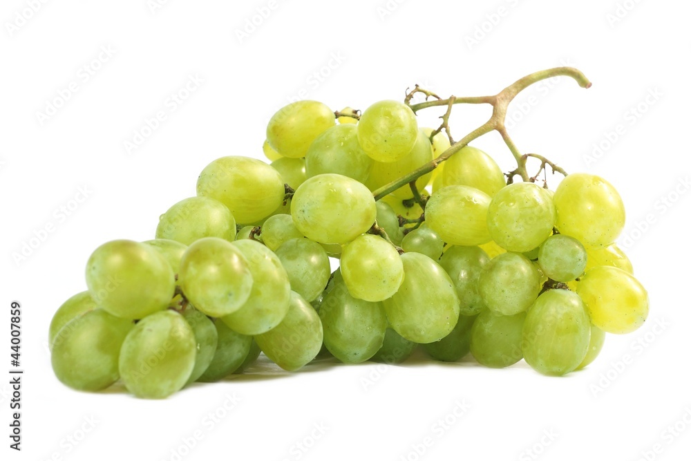Grapes to white background