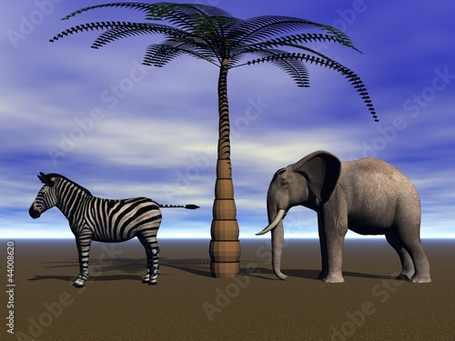 elephant and zebra