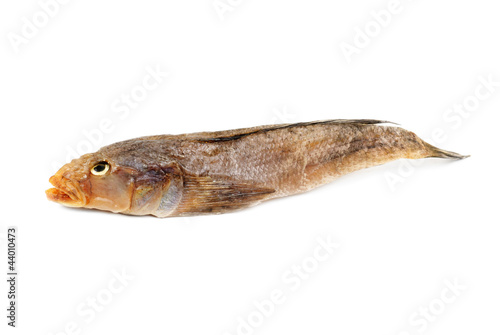 Dried bullhead (goby) isolated on white