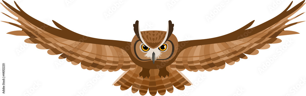 Fototapeta premium Vector illustration of brown flying owl