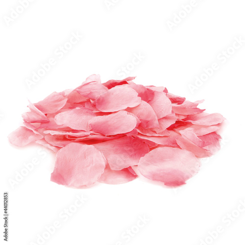 pink flower leaves isolated on white