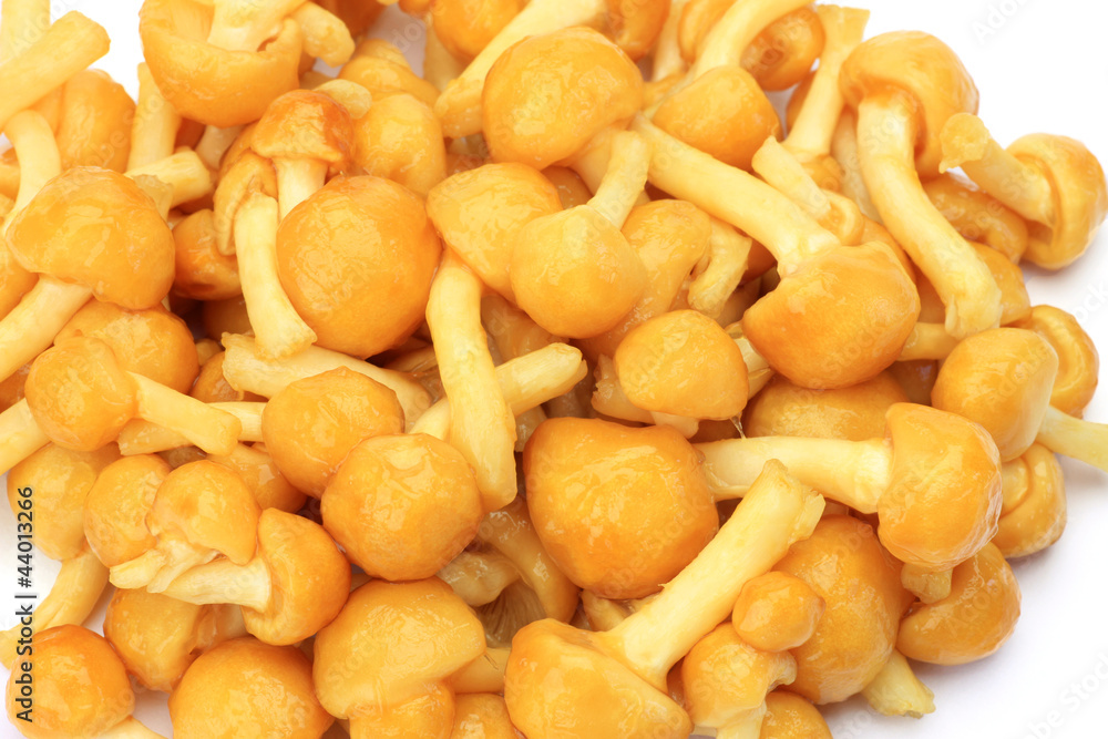 nameko mushrooms nameko mushrooms