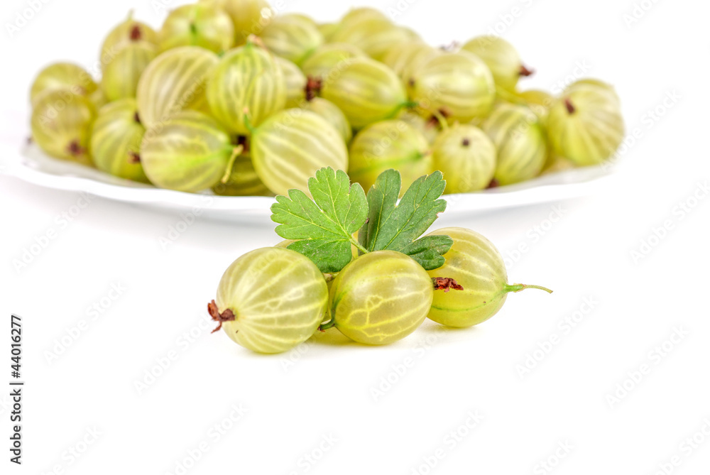 gooseberries gooseberries