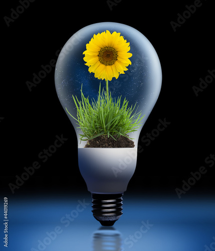 Glühlampe mit Sonnenblume
