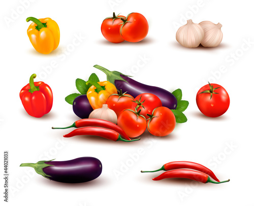 The big colorful group of vegetables  Vector