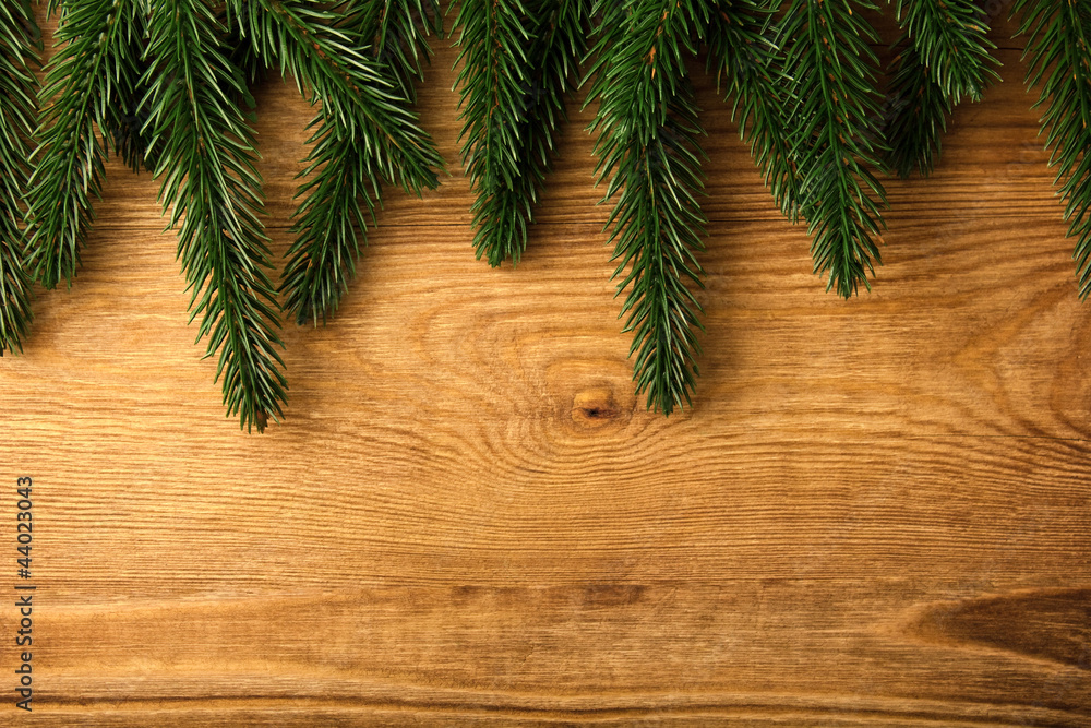 Christmas fir tree on the wooden board Christmas fir tree on the wooden board