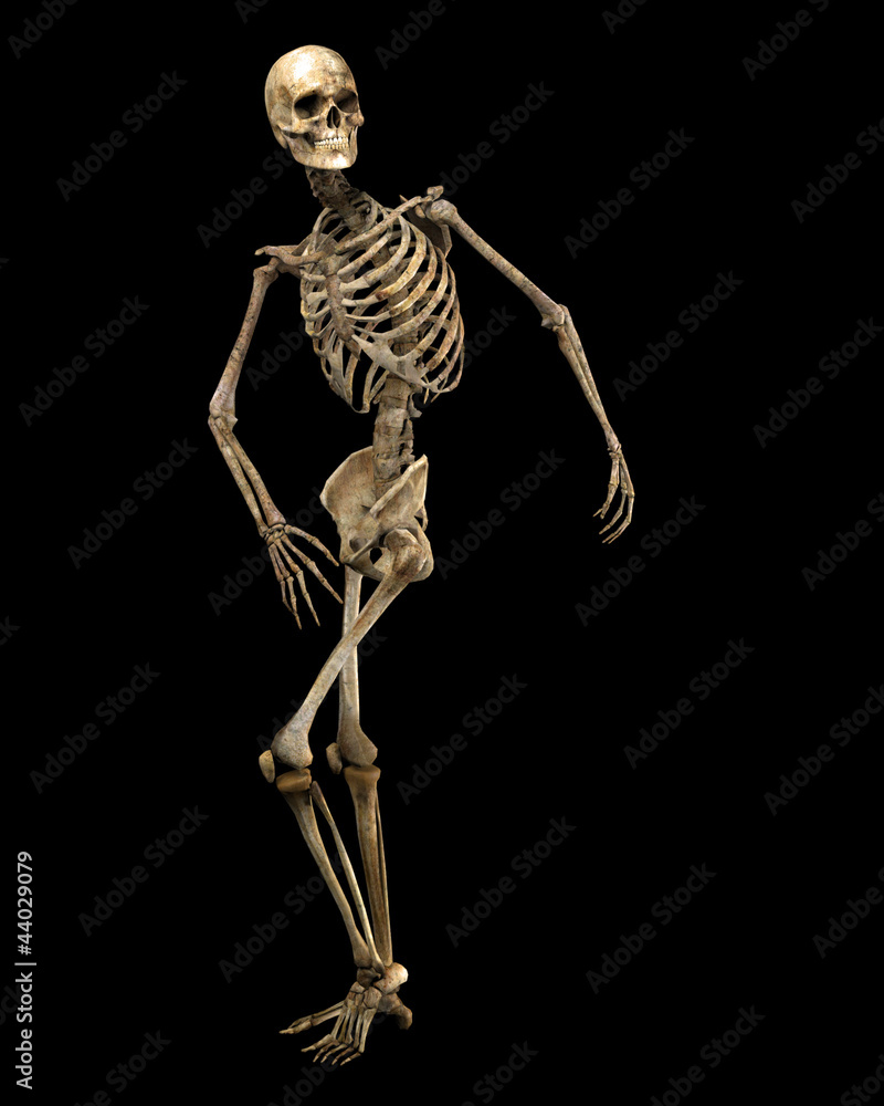 poised skeleton