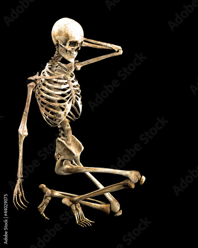 crouching skeleton