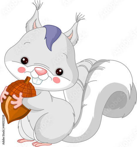 Fun zoo. White squirrel