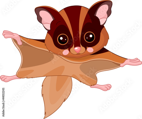 Fun zoo. Flying squirrel