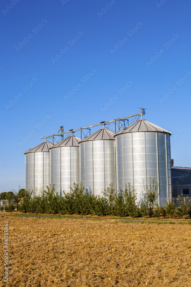 field in harvest with silo field in harvest with silo