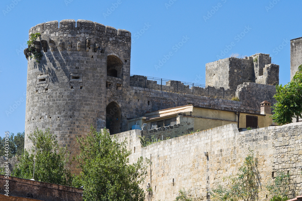 Tower of Matilde of Canossa. Tarquinia. Lazio. Italy.