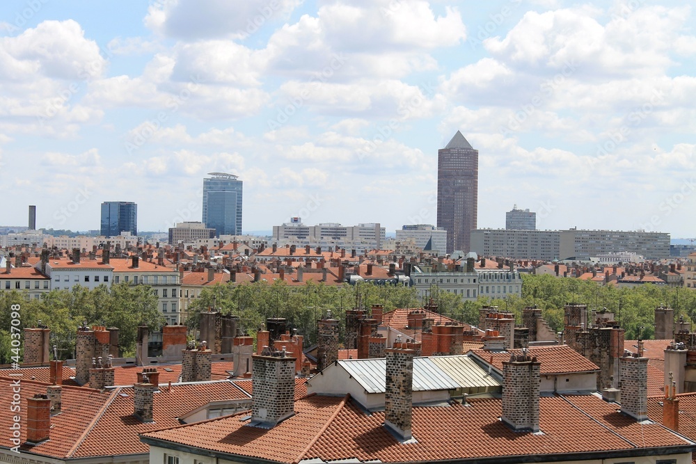 Vue de Lyon