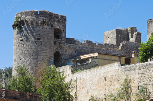 Tower of Matilde of Canossa. Tarquinia. Lazio. Italy. photo