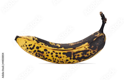 rotten banana isolated on a white background photo