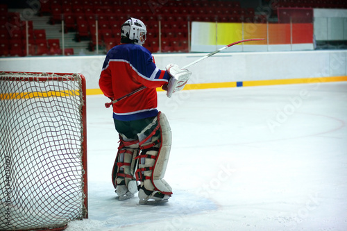 Hockey goalie