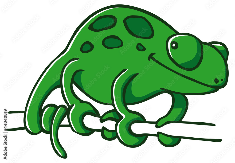 cute chameleon cute chameleon