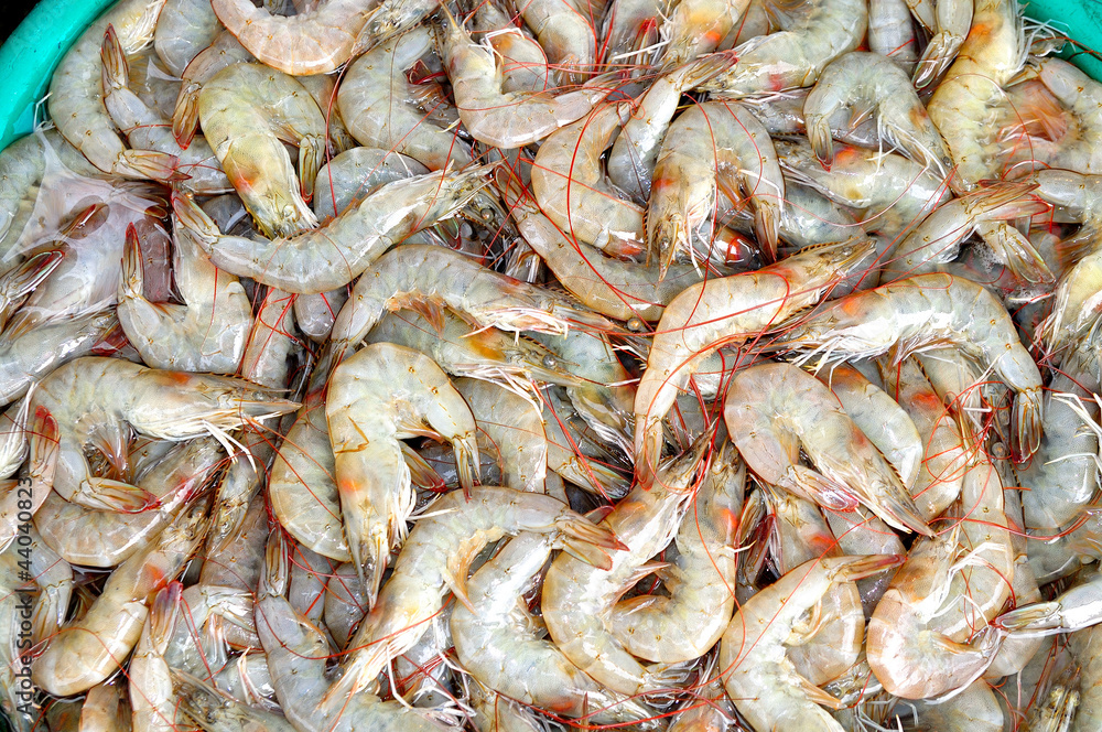 Shrimps The fish market Shrimps The fish market