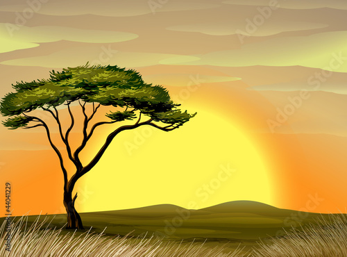 landscape