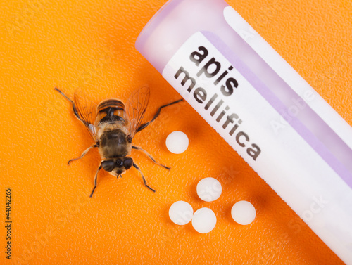 Apis Mellifica homeopathic medication and bee photo