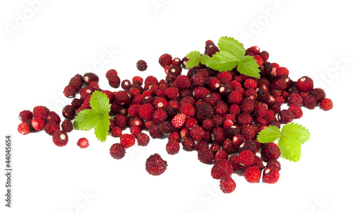 Delicious wild strawberries with green leaves , isolated on whit