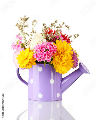Purple watering can with white polka-dot with flowers isolated
