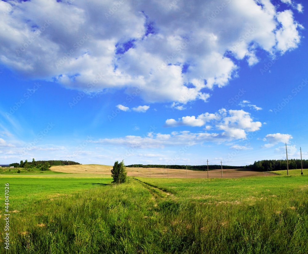 Green Field panorama, Lithuania.
