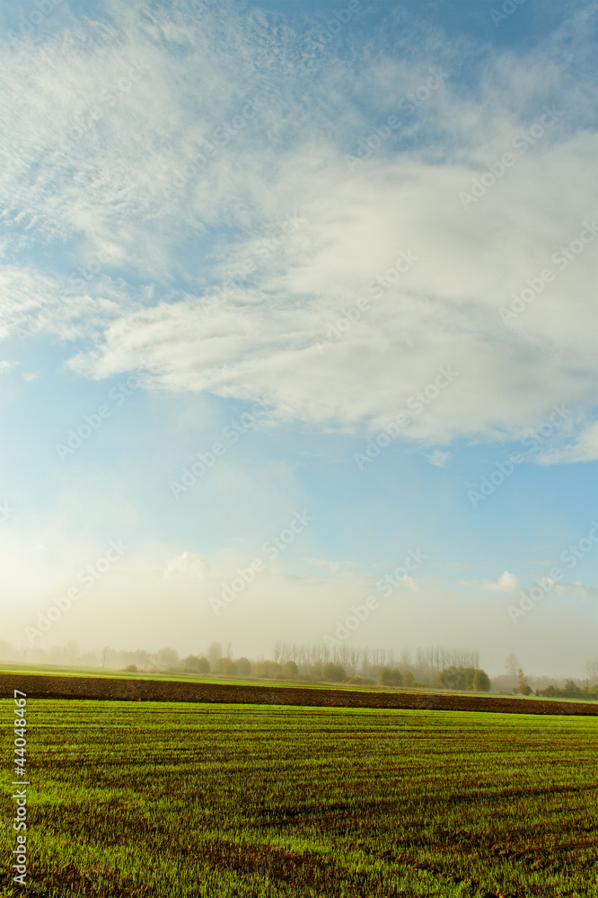 Obraz premium Country landscape.
